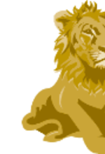 TEAM Mizner Grande Team Photo